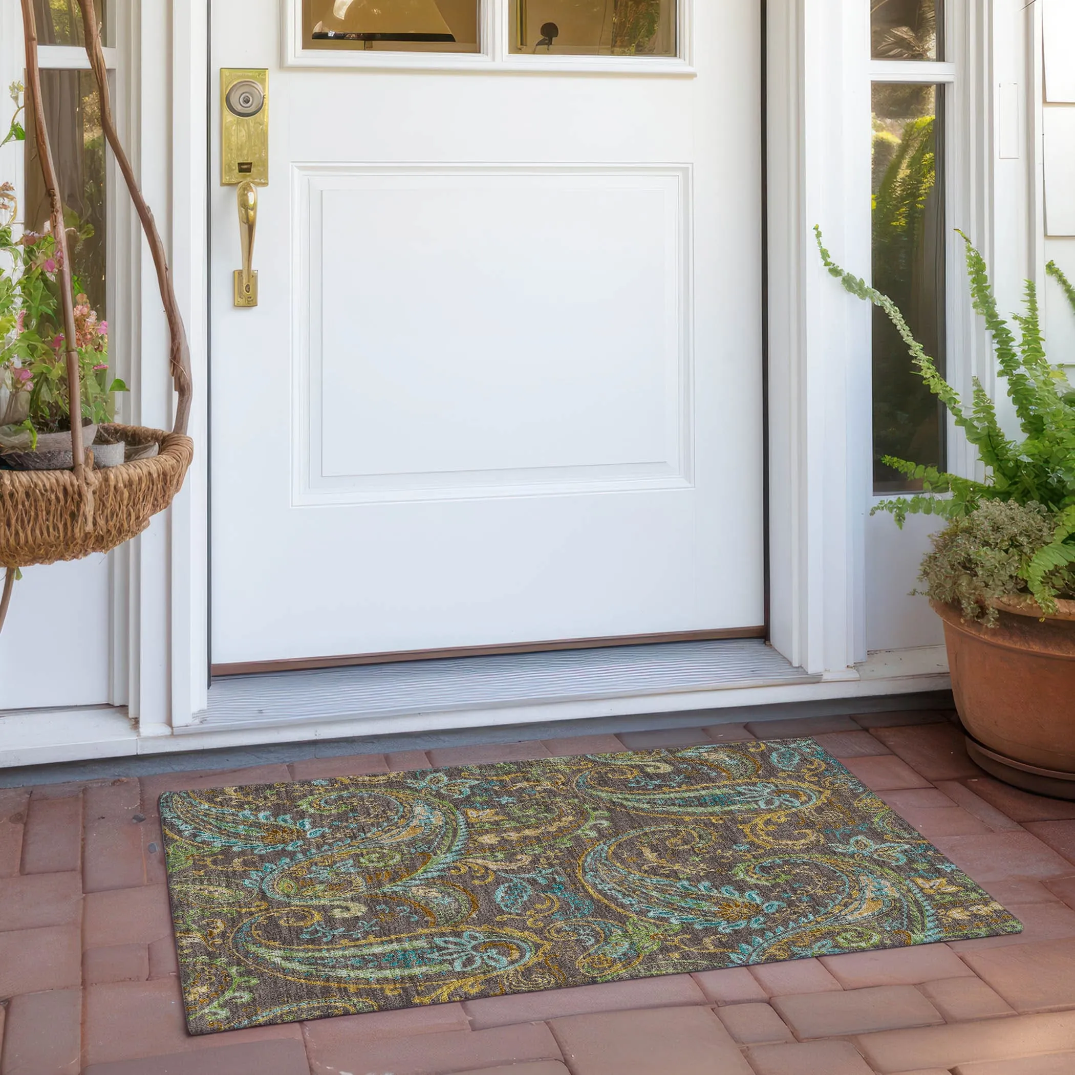 Machine Washable Indoor/ Outdoor Paisley Chantille Rug