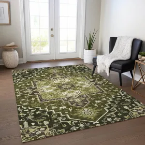 Machine Washable Indoor/ Outdoor Persian Traditional Chantille Rug