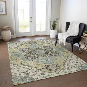 Machine Washable Indoor/ Outdoor Persian Traditional Chantille Rug