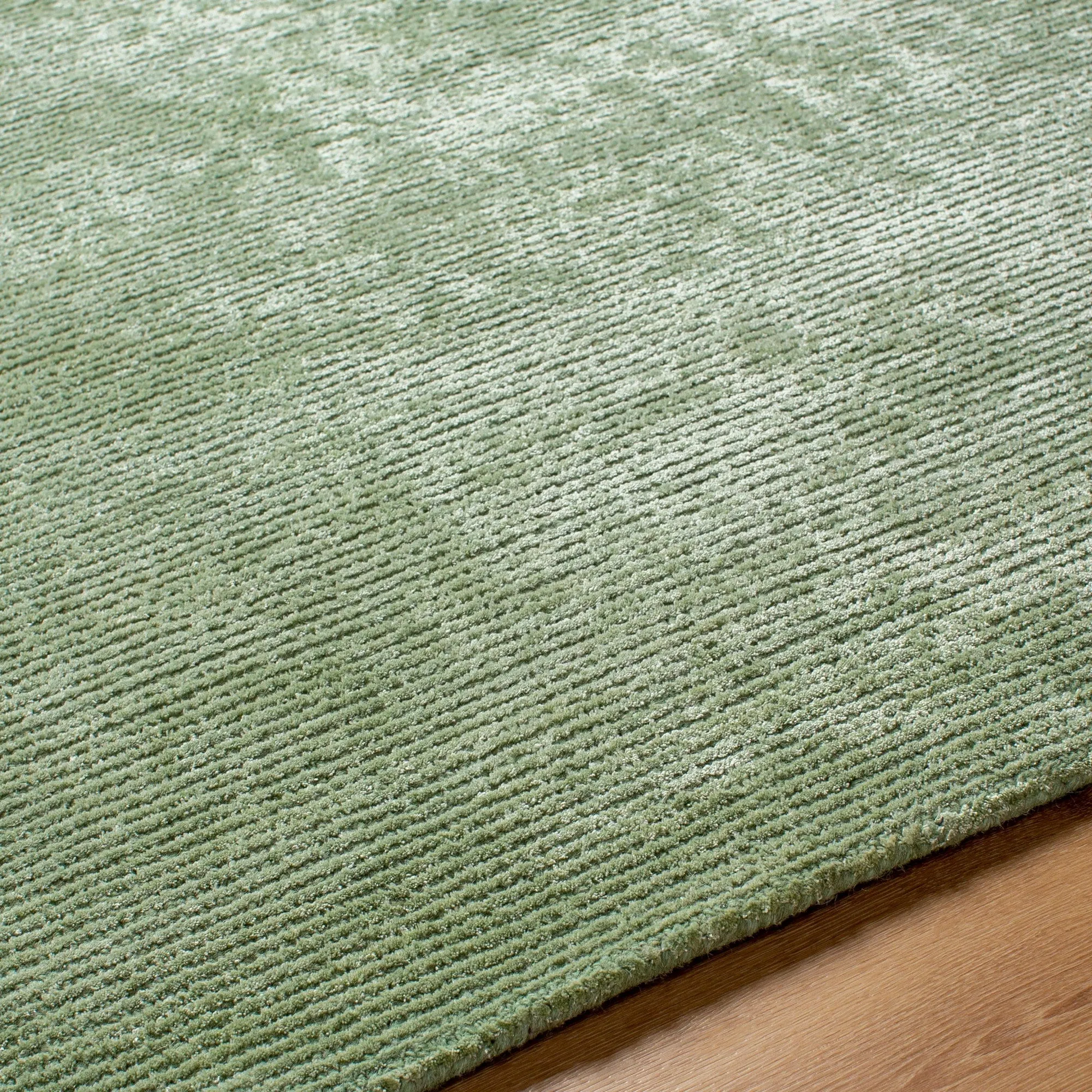 Maier Casual Area Rug