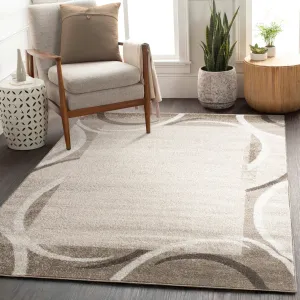 Modern Area Rug for Living Room Classic Design with Border