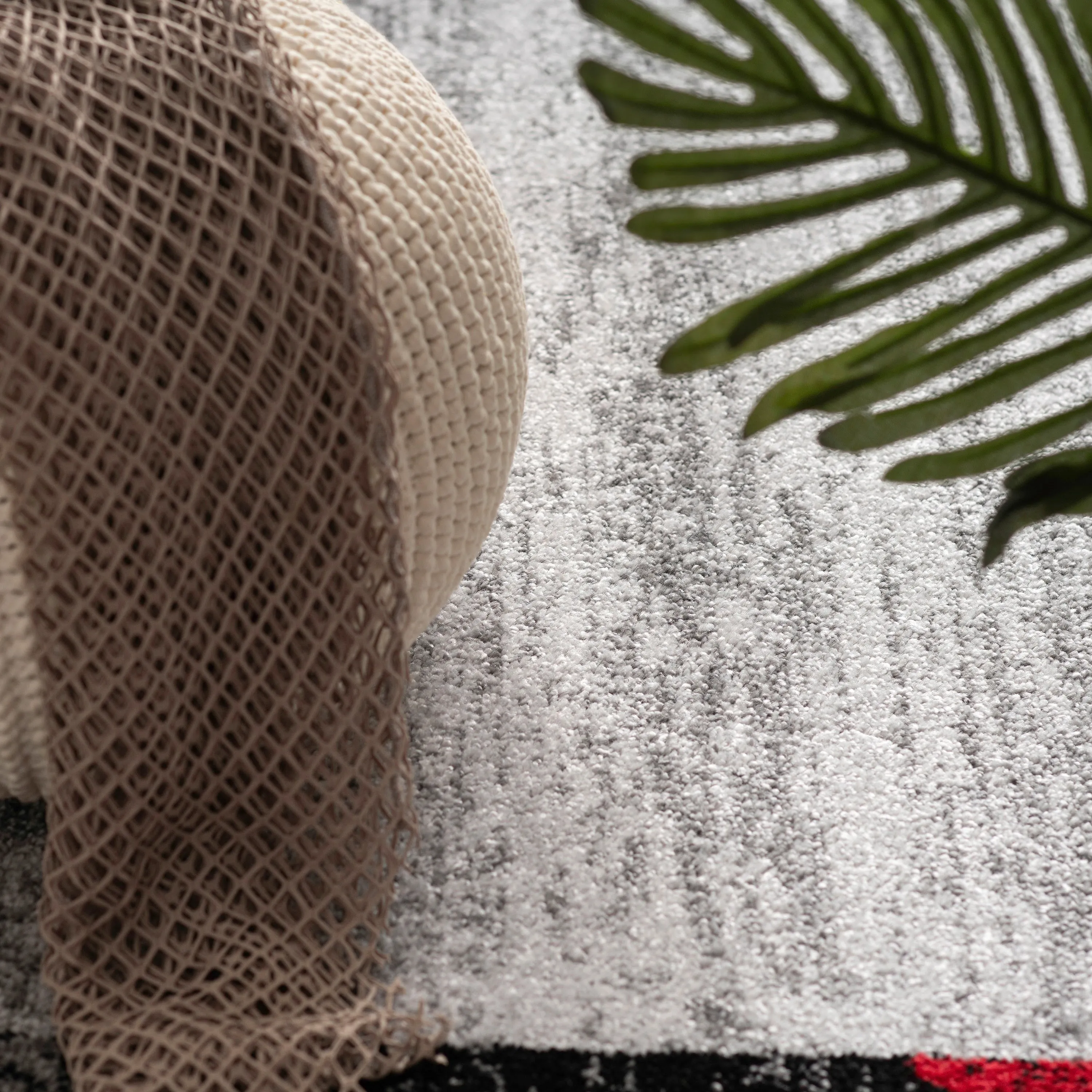 Modern Area Rug for Living Room Classic Design with Border
