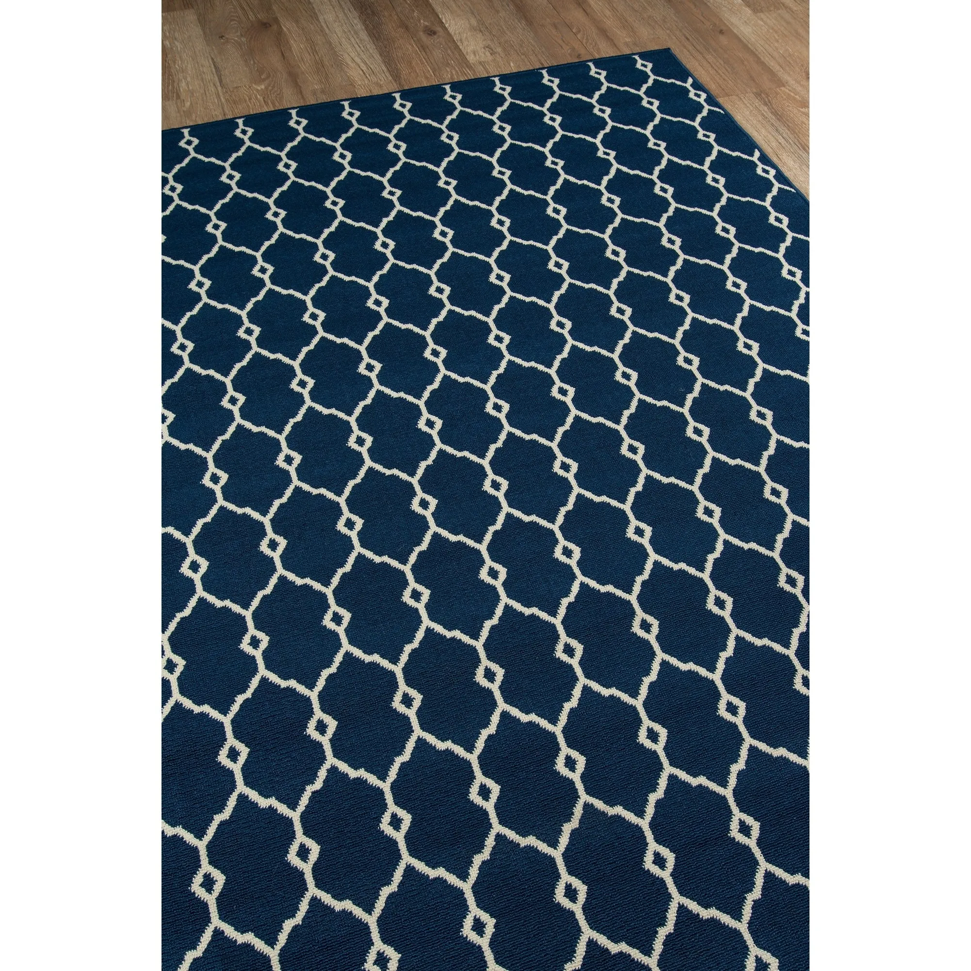 Momeni Baja Trellis Indoor Outdoor Rug