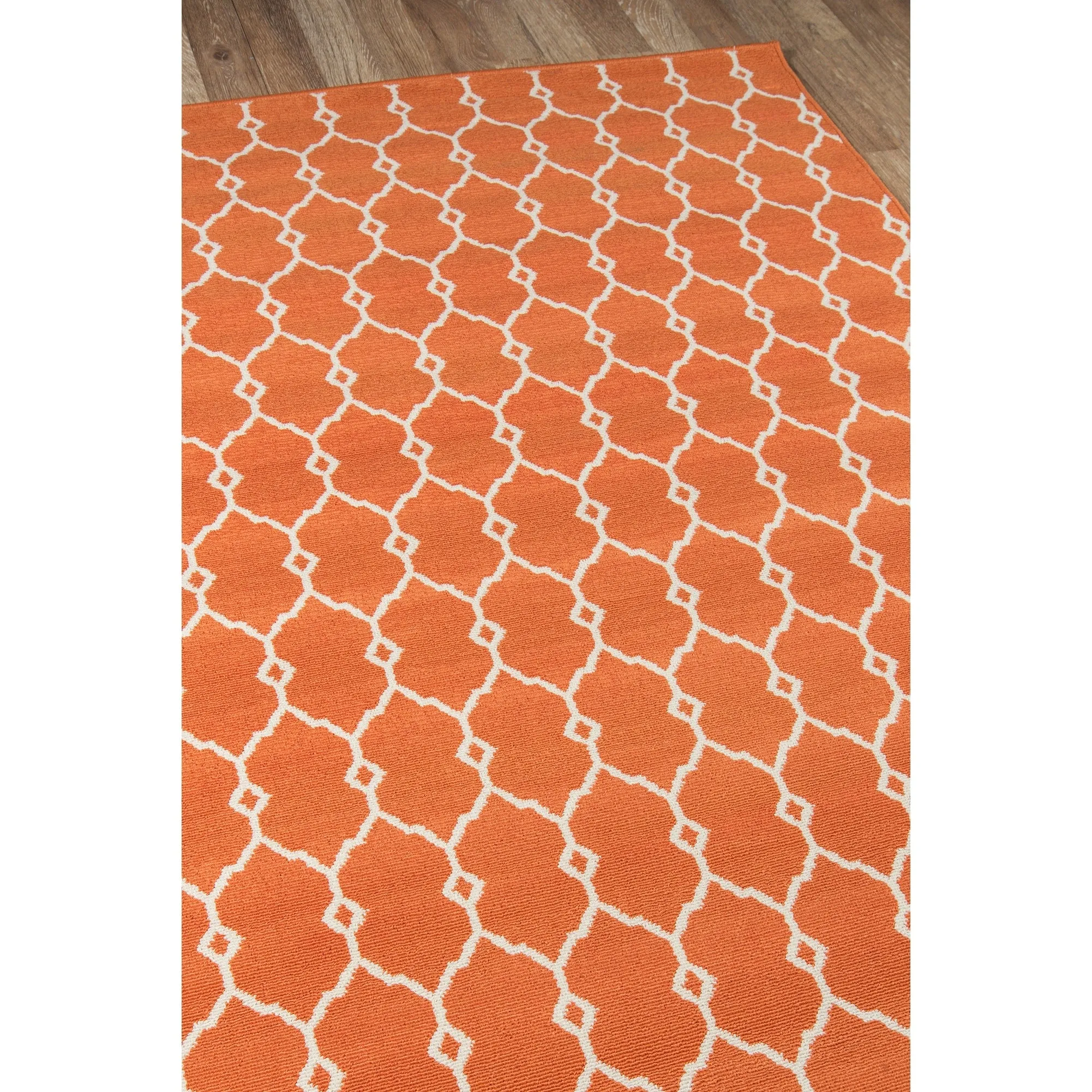 Momeni Baja Trellis Indoor Outdoor Rug