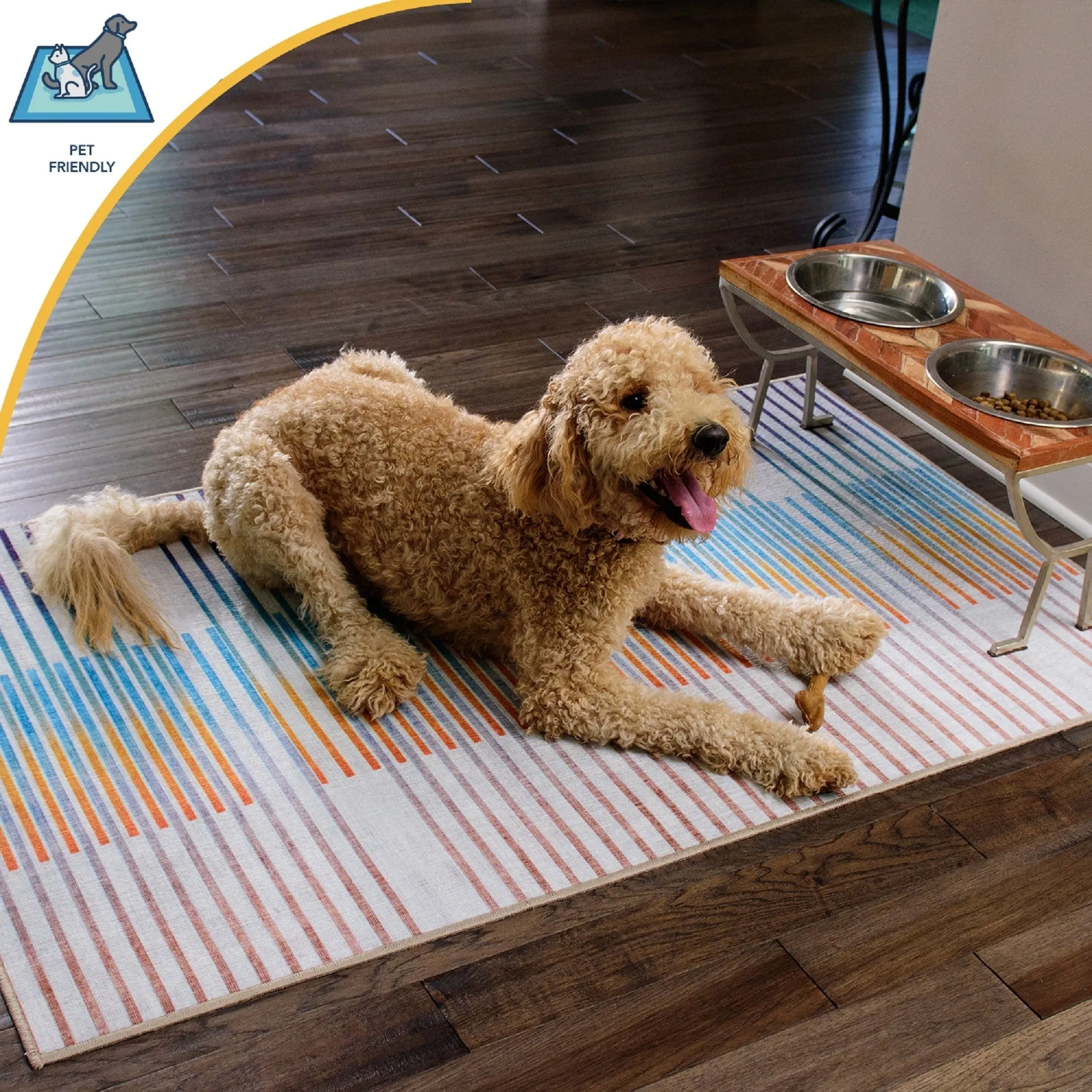 My Magic Carpet Dardon Bordered Grey Machine Washable Rug