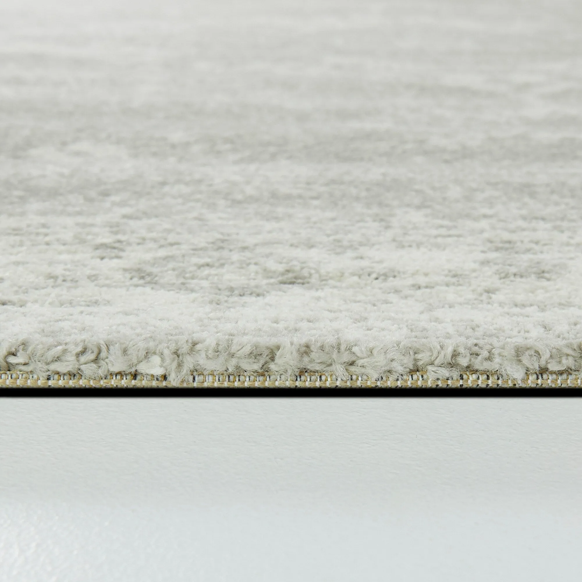Nafisa Distressed Medallion Area Rug