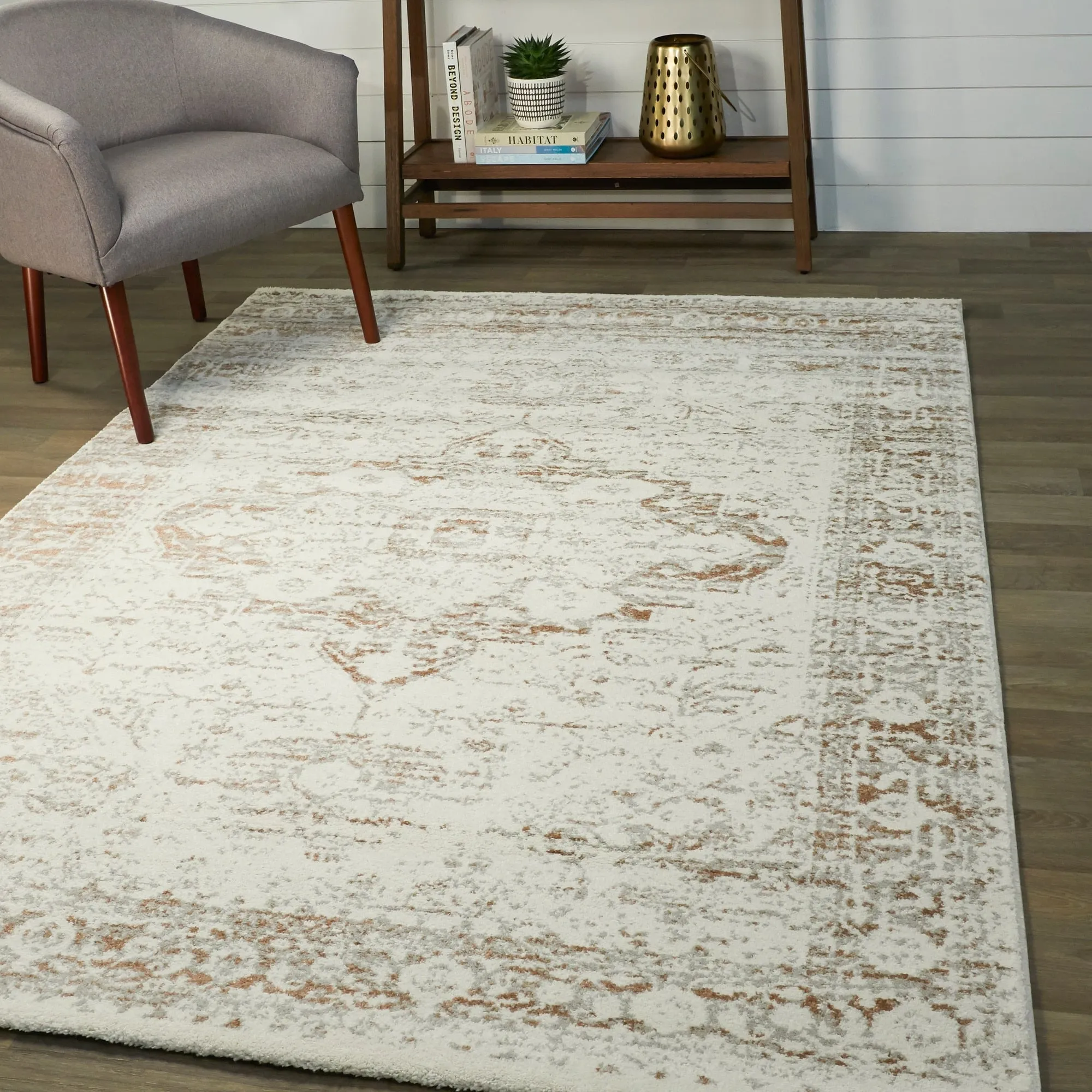 Nafisa Distressed Medallion Area Rug
