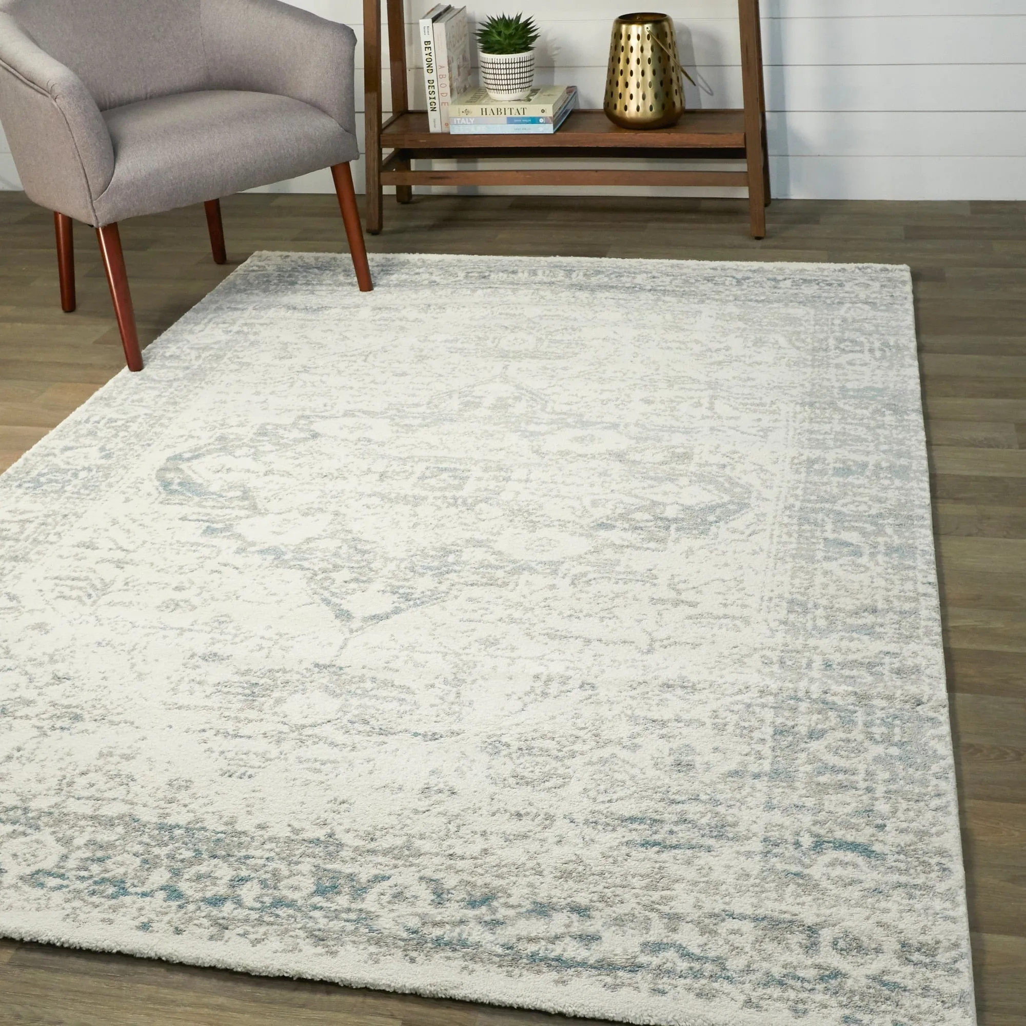 Nafisa Distressed Medallion Area Rug