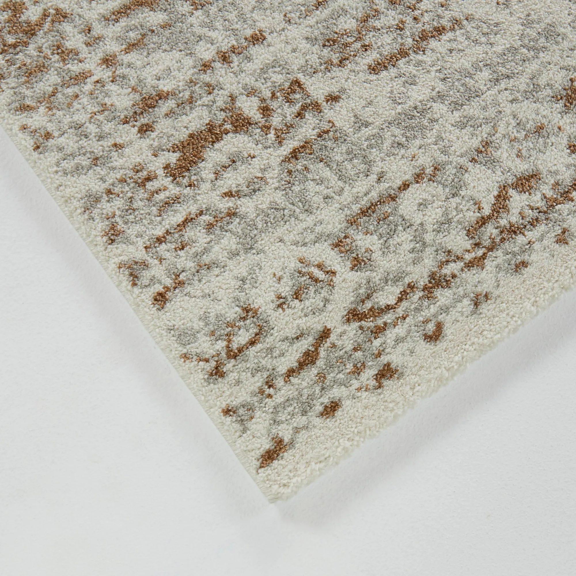 Nafisa Distressed Medallion Area Rug