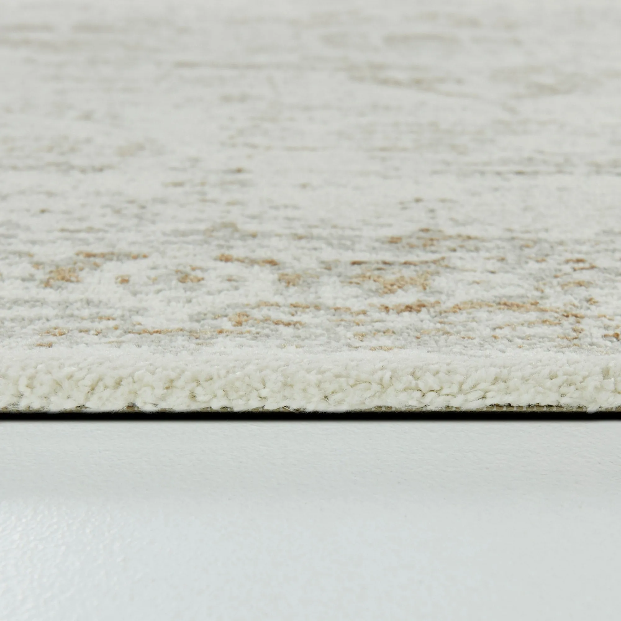 Nafisa Distressed Medallion Area Rug