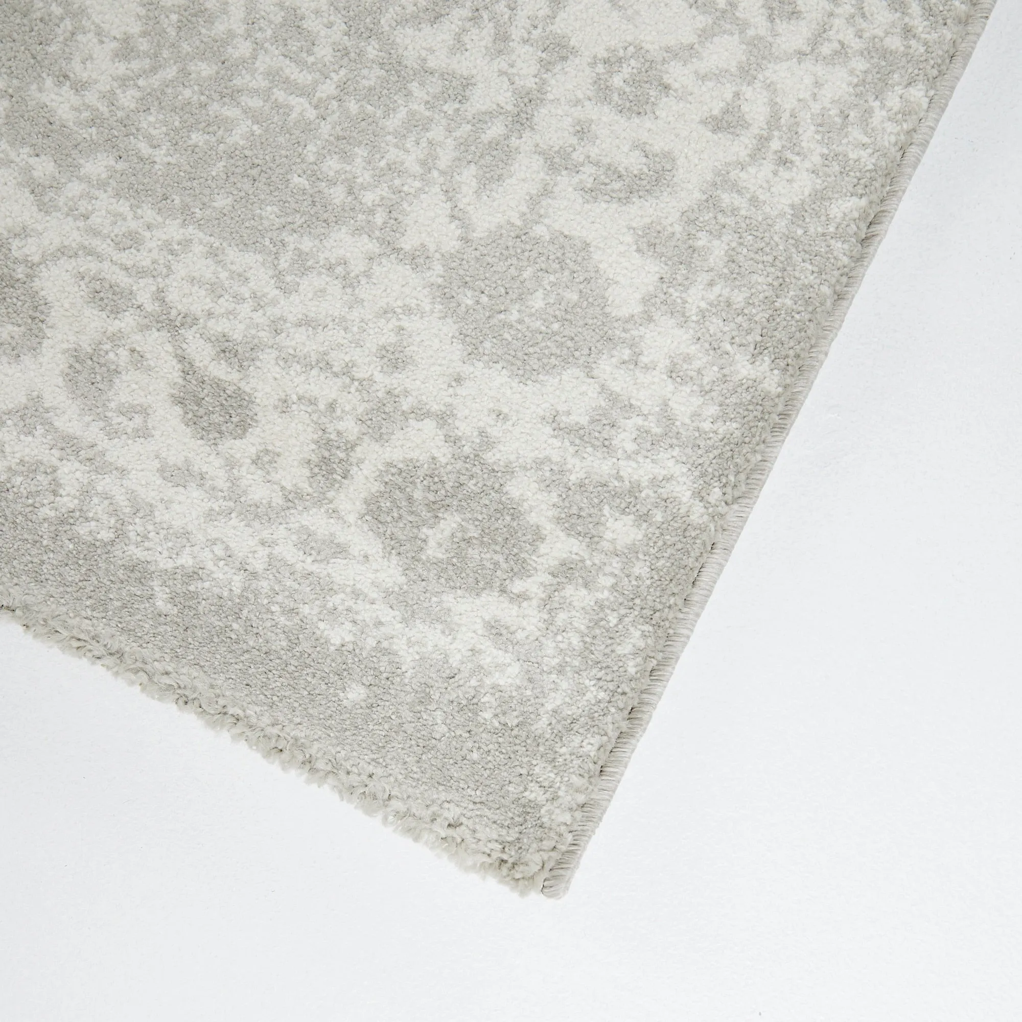 Nafisa Distressed Medallion Area Rug