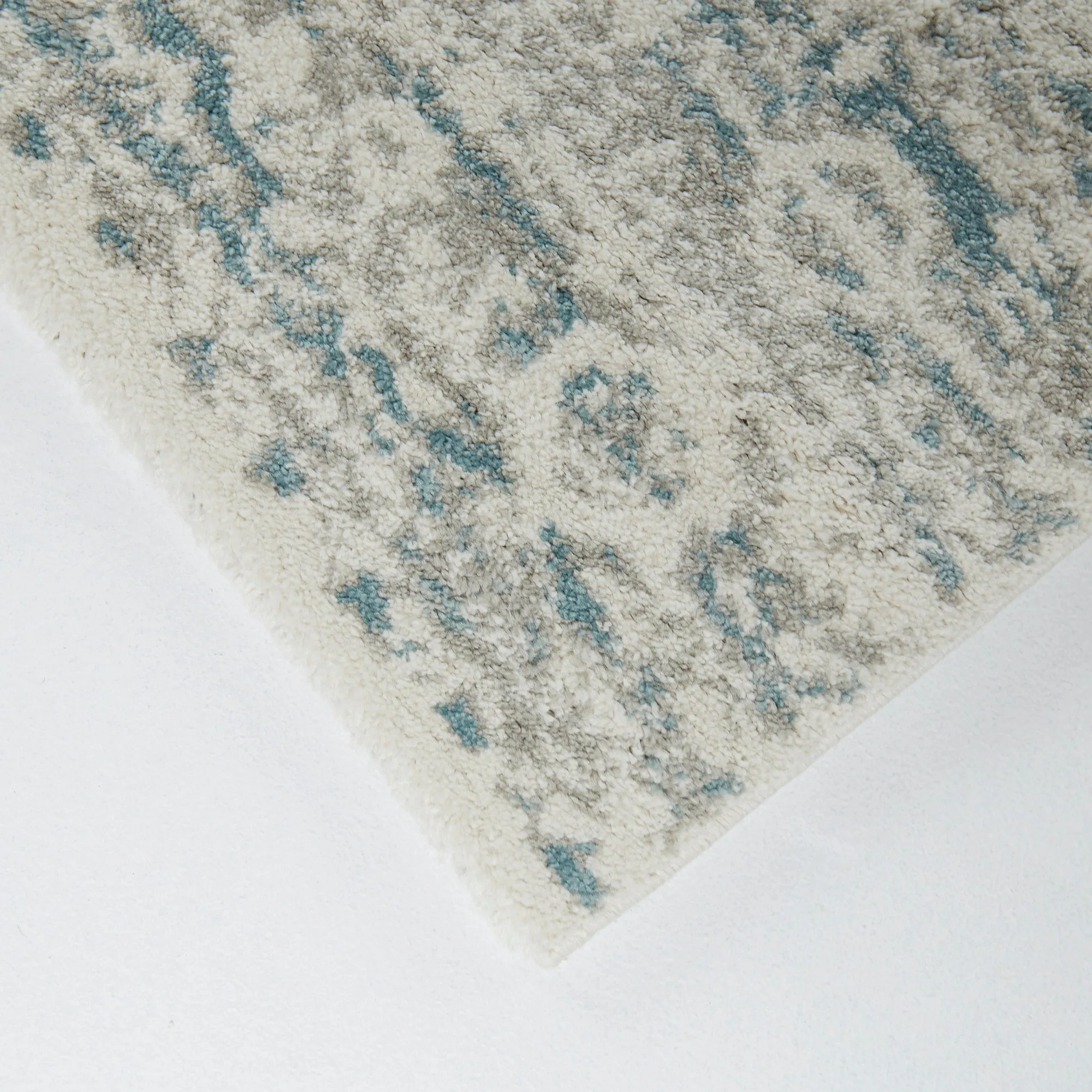 Nafisa Distressed Medallion Area Rug