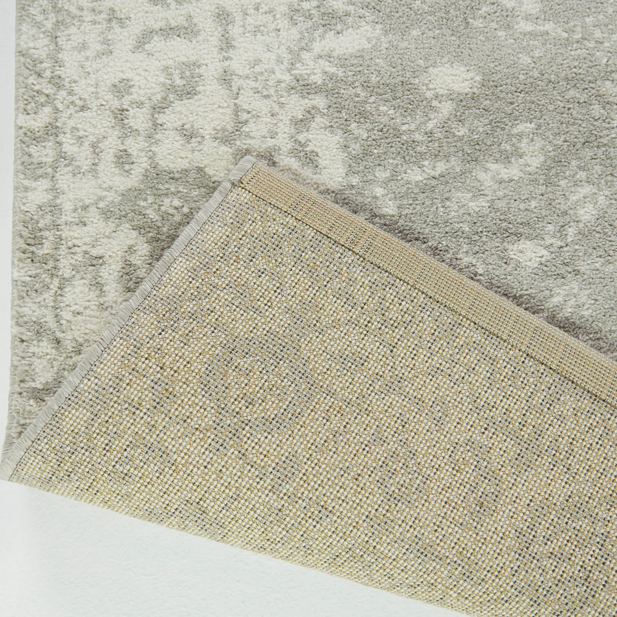 Nafisa Distressed Medallion Area Rug
