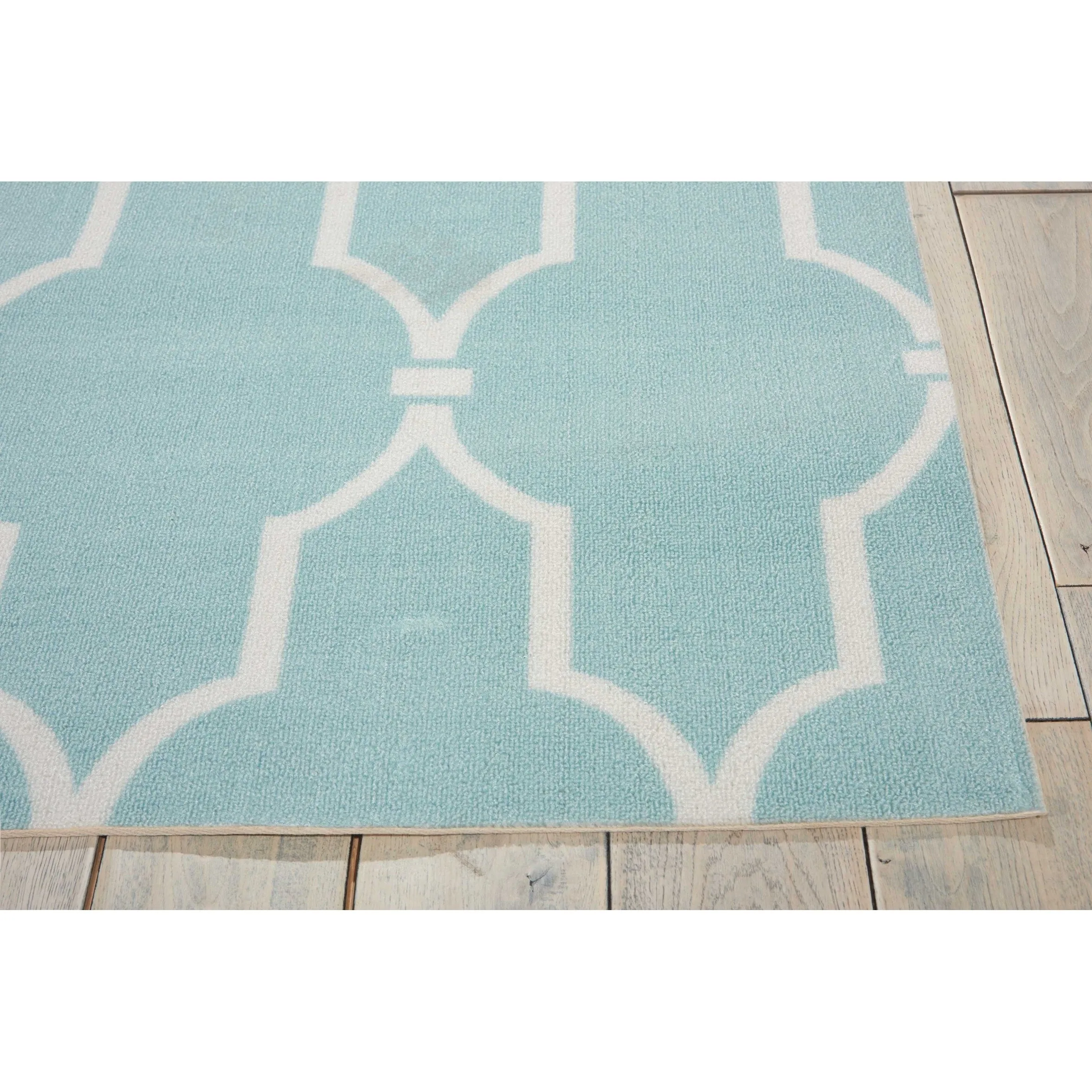 New Bedford Indoor/ Outdoor Rug by Havenside Home