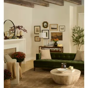 Nourison Luxurious Indoor only Persian Area Rug