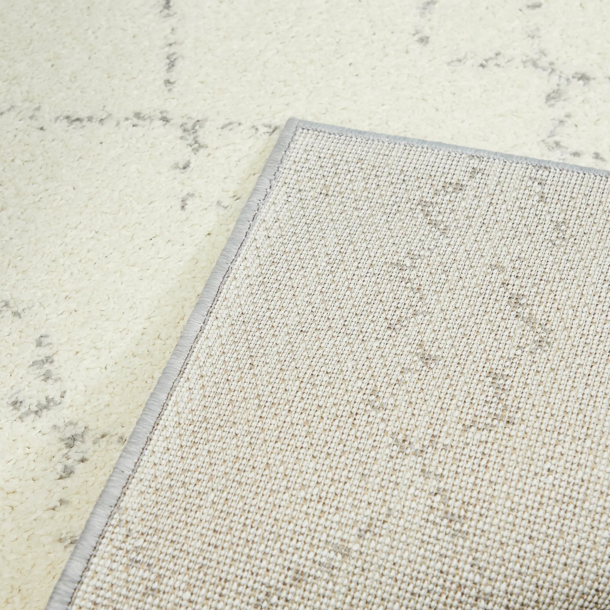 Reeves Moroccan Trellis Area Rug