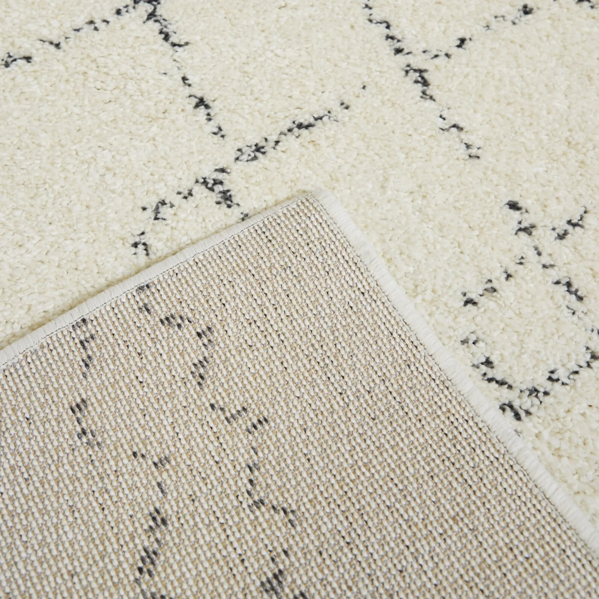 Reeves Moroccan Trellis Area Rug