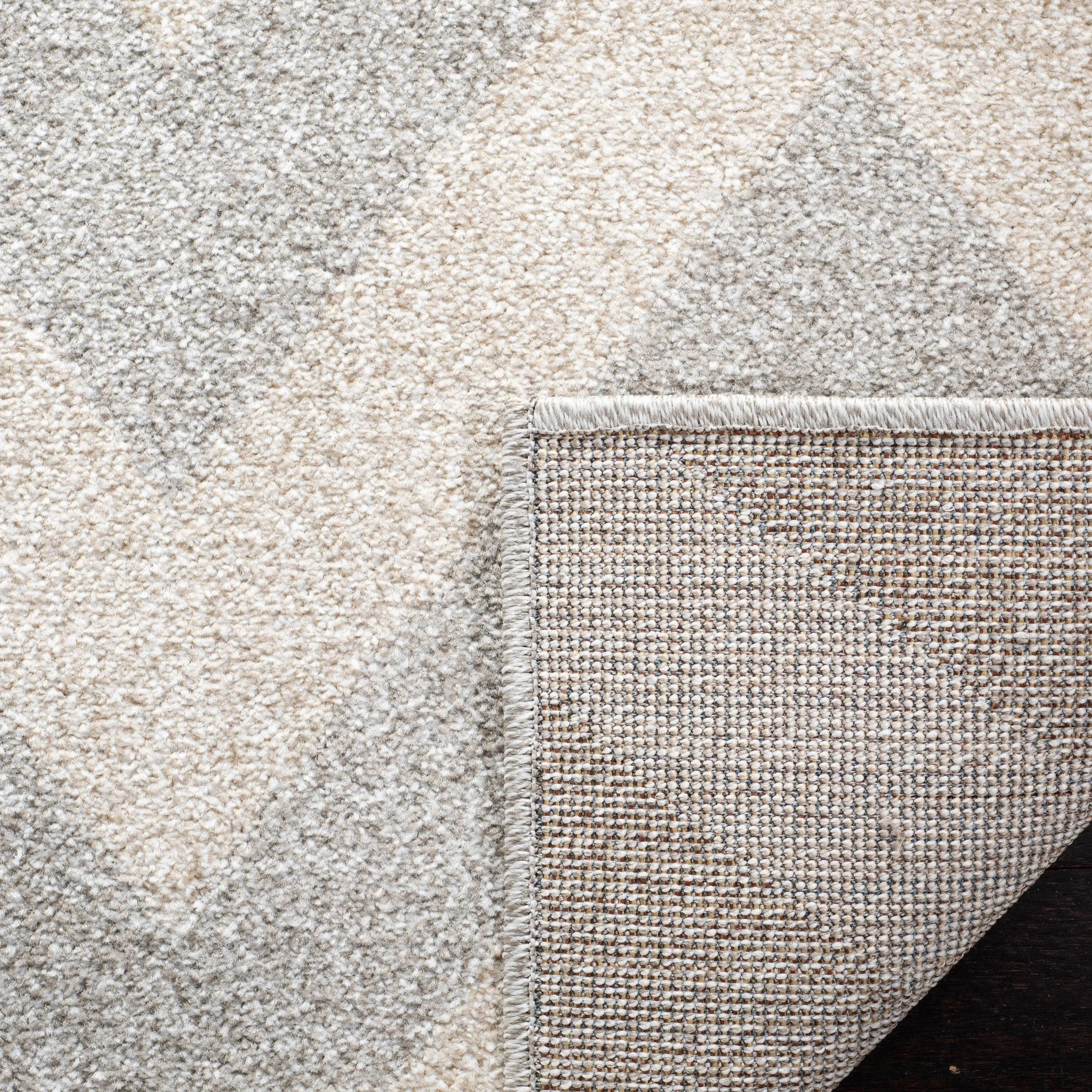 SAFAVIEH Amherst Rinny Modern Rug