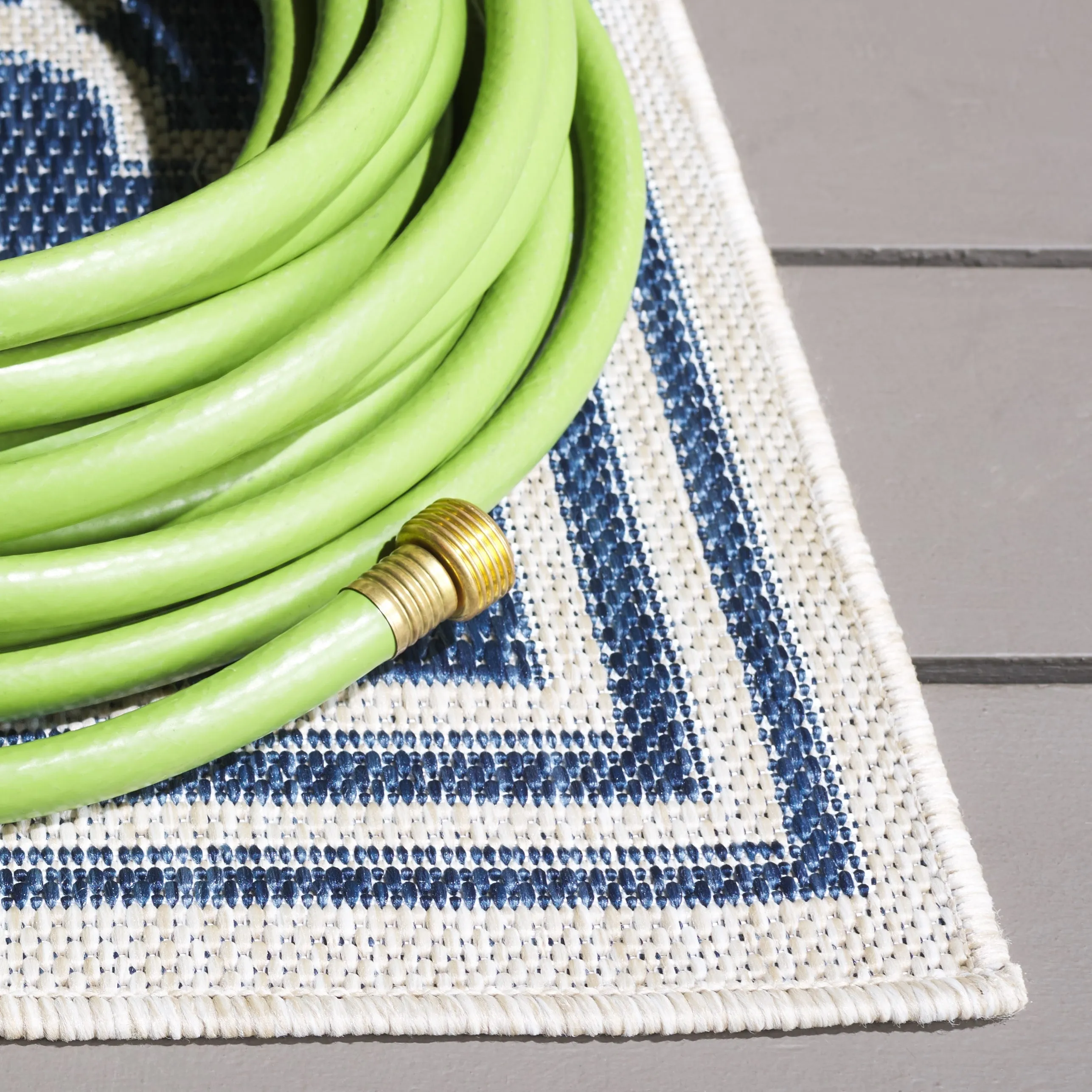 SAFAVIEH Beach House Elisaria Transitional Rug