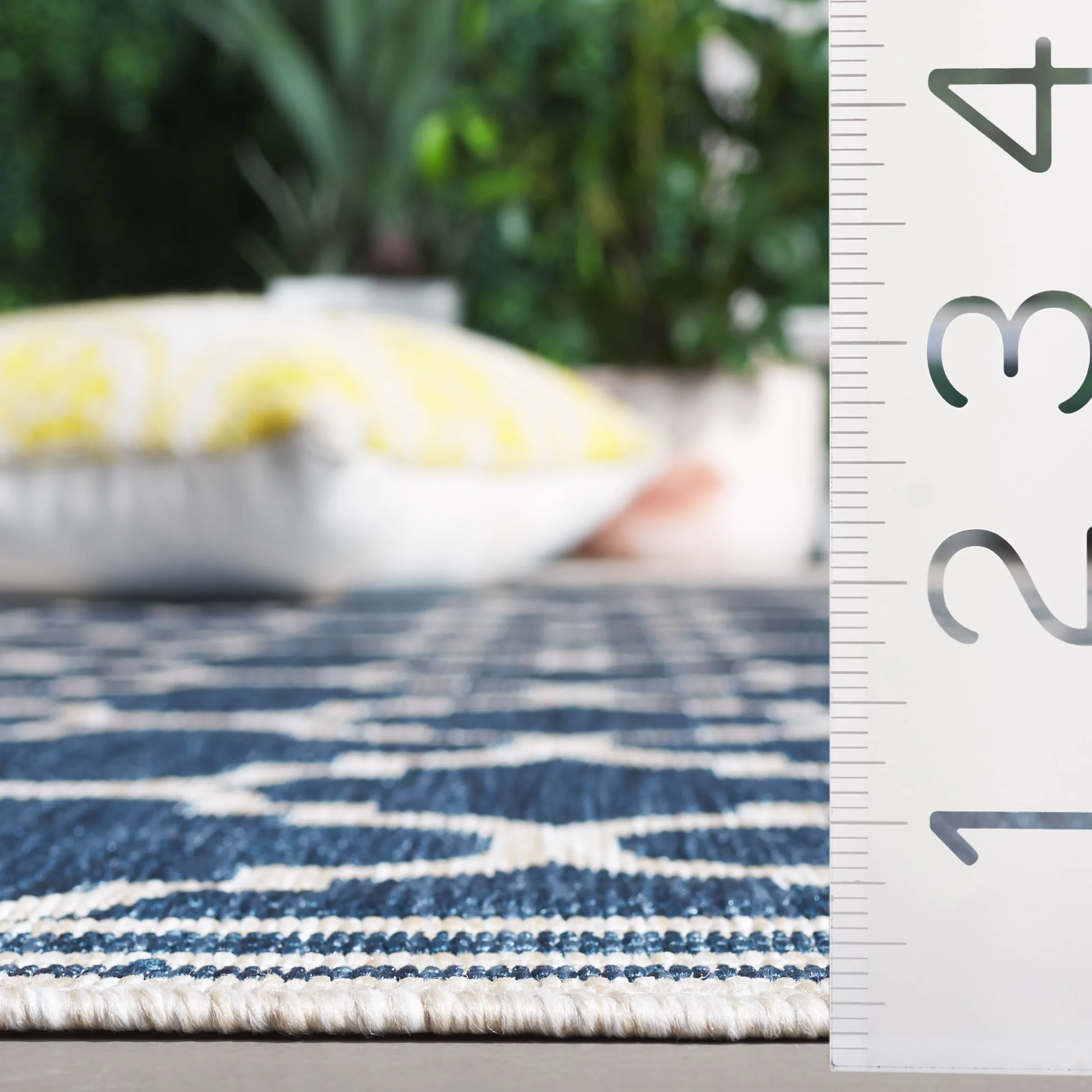 SAFAVIEH Beach House Elisaria Transitional Rug