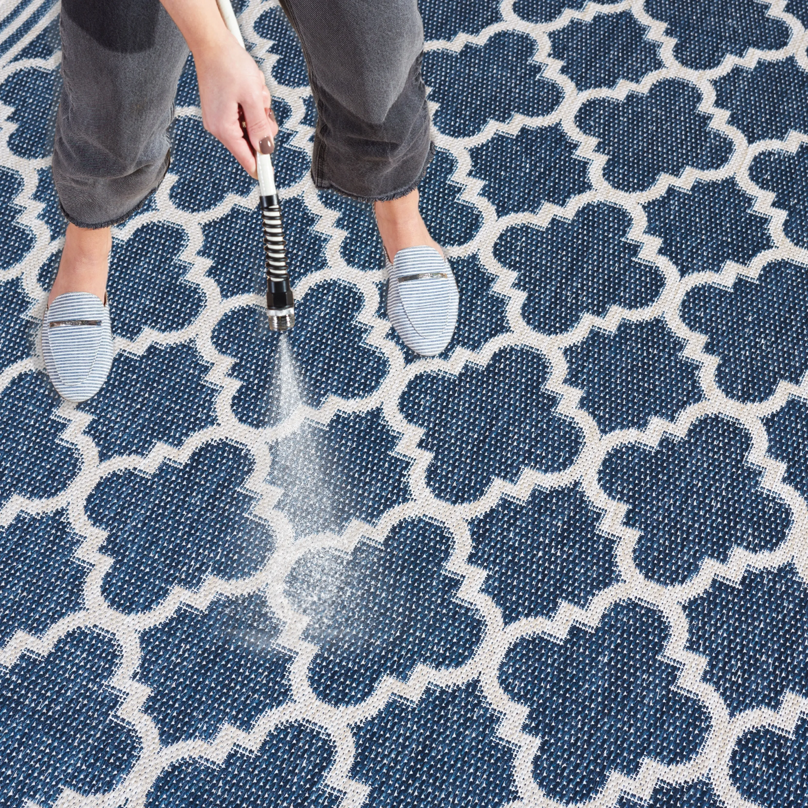 SAFAVIEH Beach House Elisaria Transitional Rug