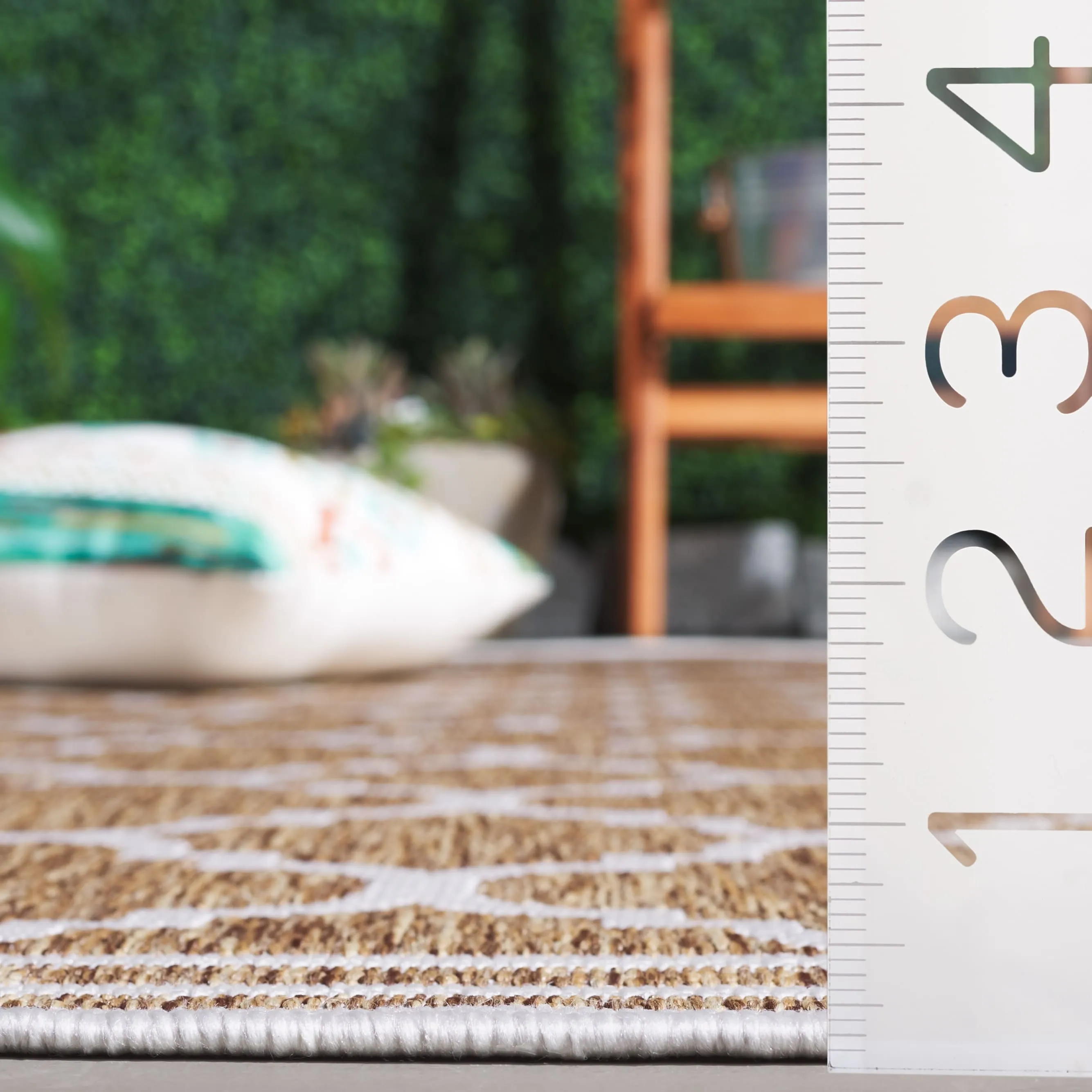 SAFAVIEH Beach House Elisaria Transitional Rug