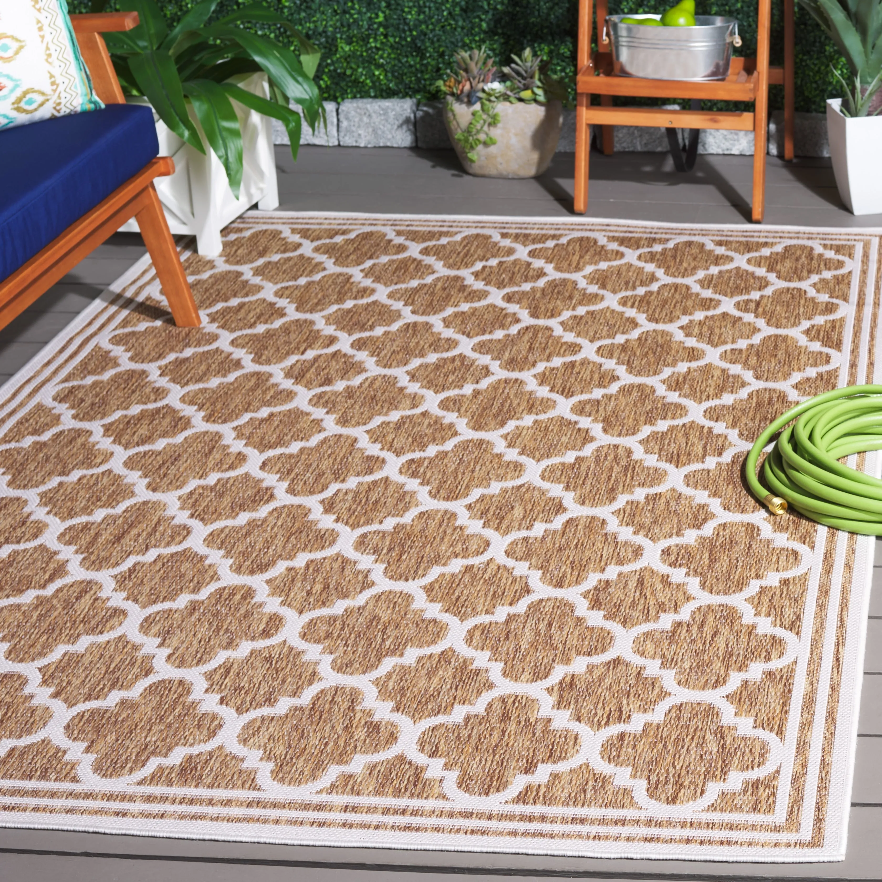 SAFAVIEH Beach House Elisaria Transitional Rug
