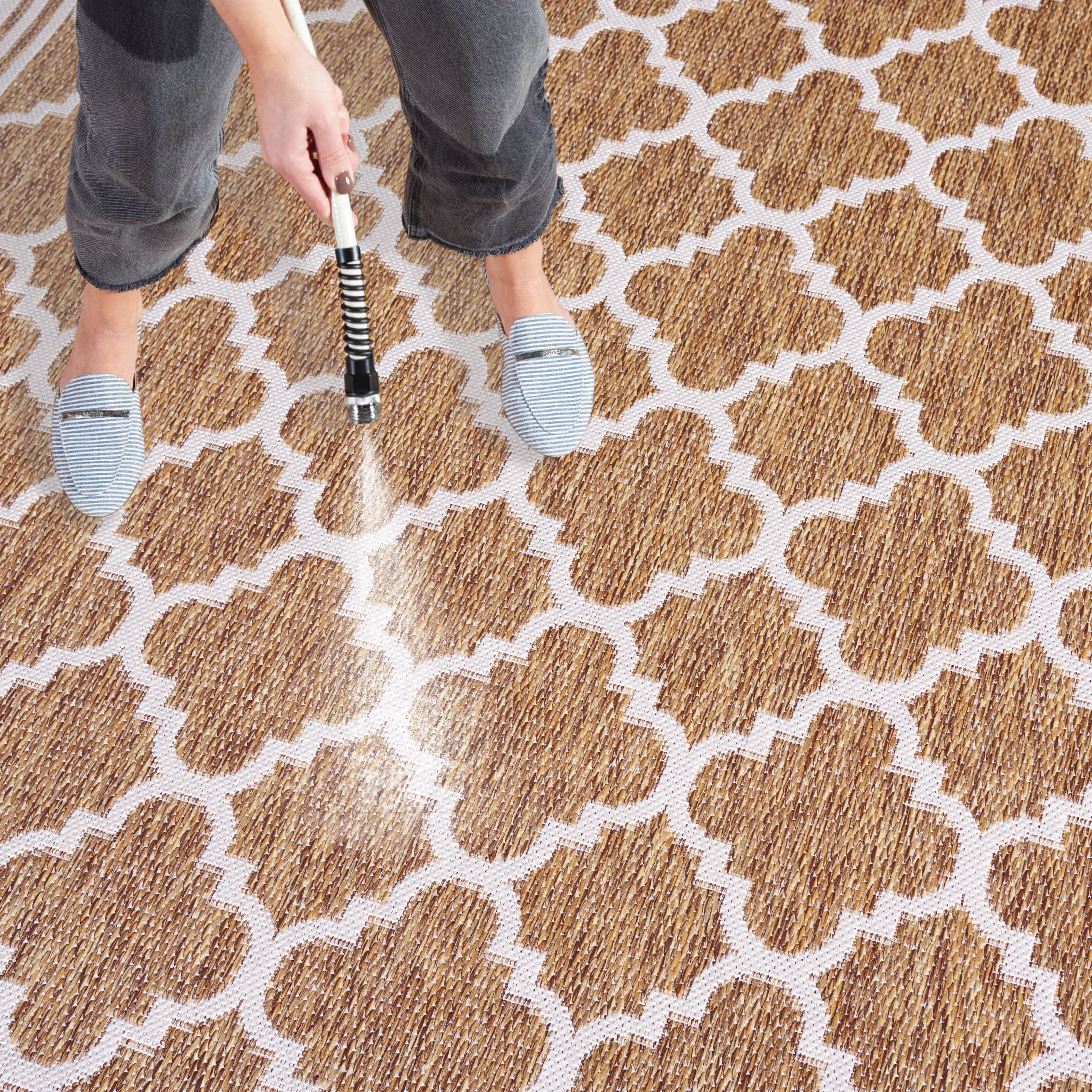 SAFAVIEH Beach House Elisaria Transitional Rug