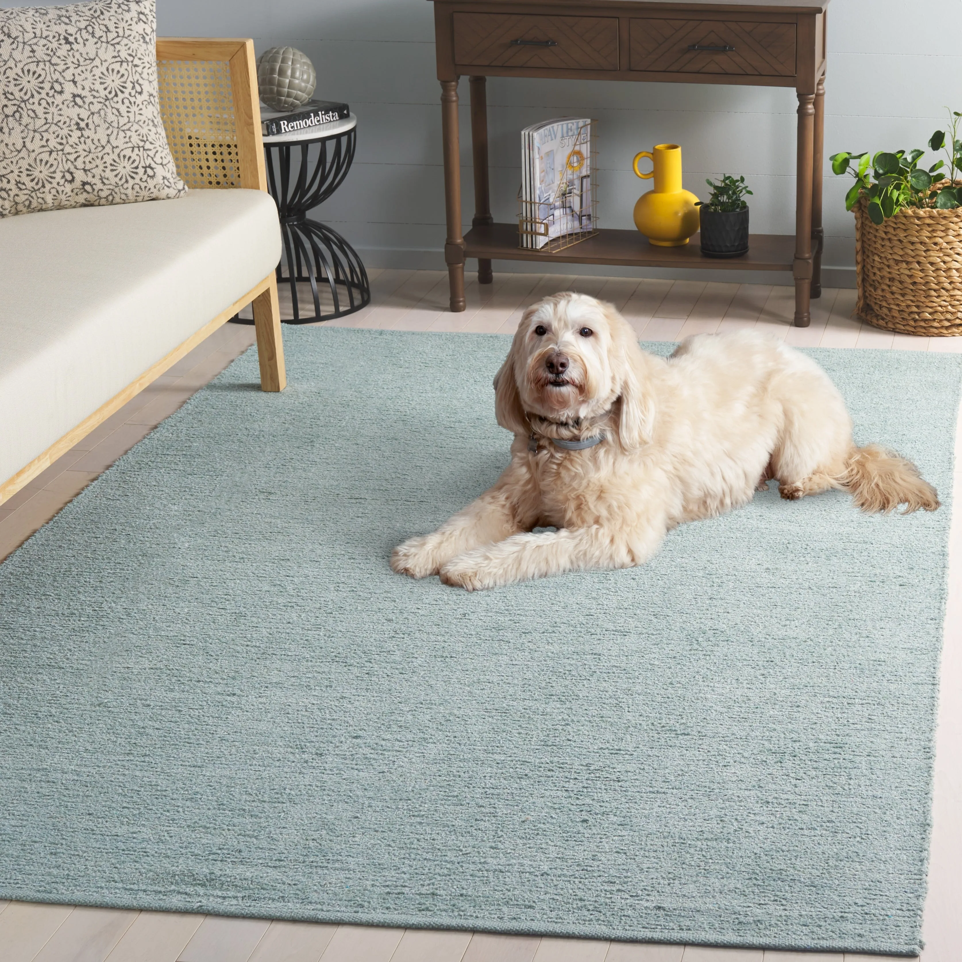 SAFAVIEH Handmade Montauk Willie Cotton Rug