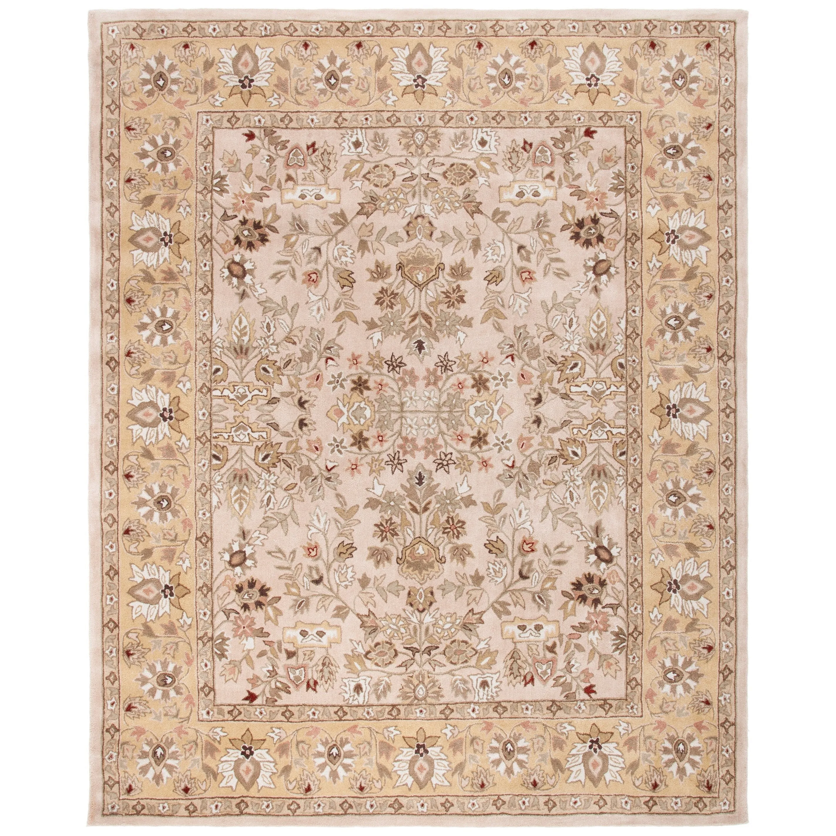 SAFAVIEH Handmade Total Performance Nere Oriental Rug
