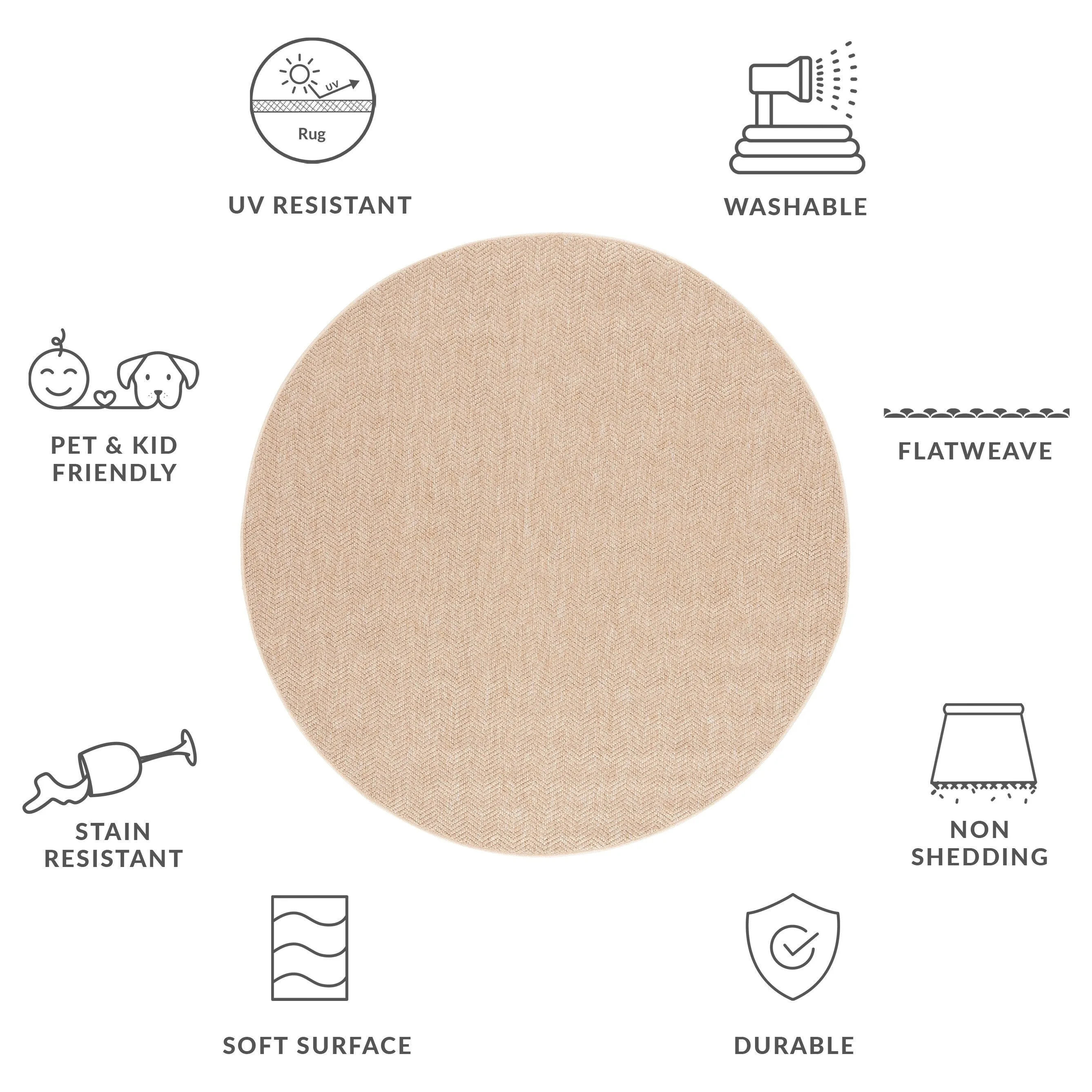 SAFAVIEH Sisal All-Weather Aoife Transitional Indoor/Outdoor Rug
