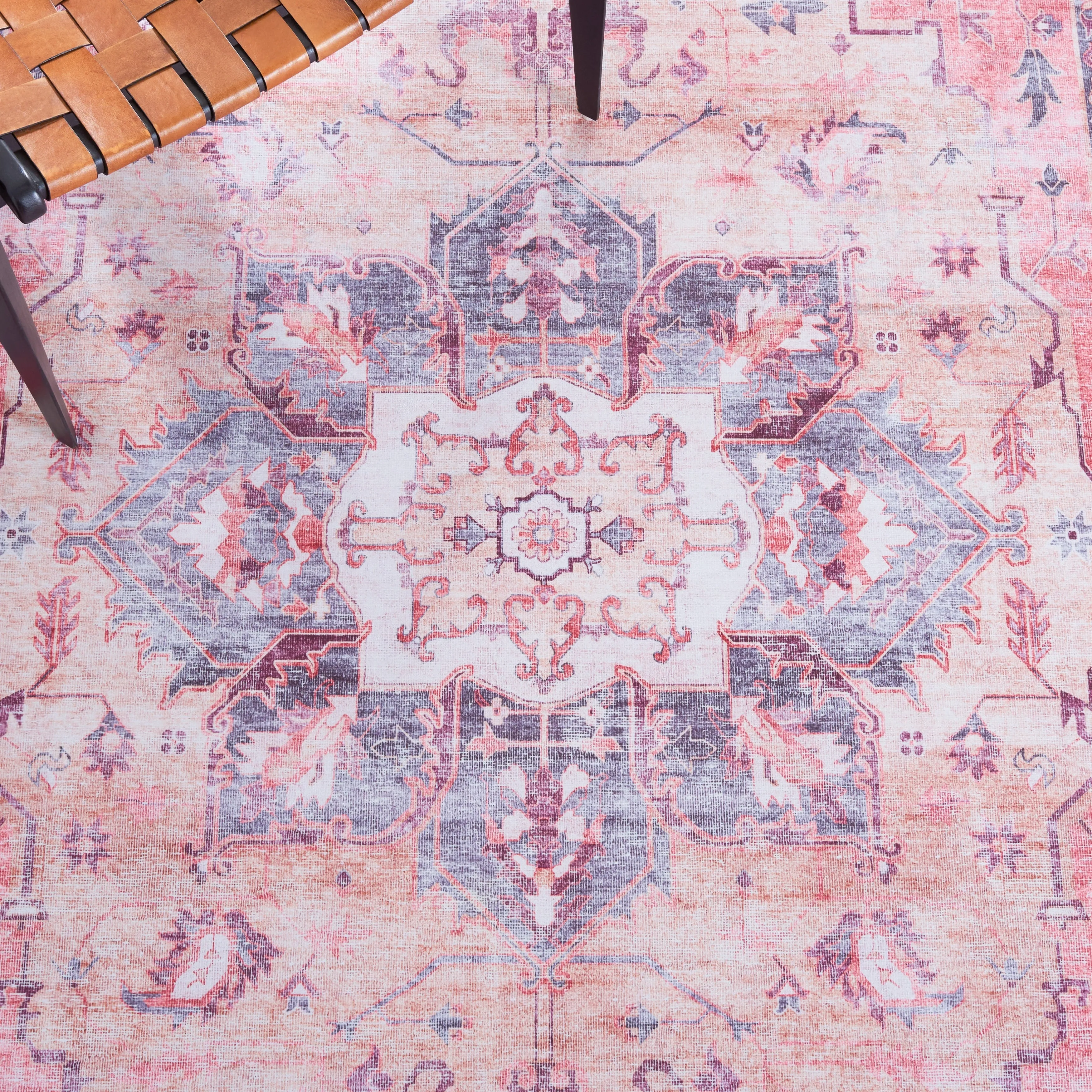 SAFAVIEH Tucson Machine Washable Slip Resistant Celina Traditional Rug