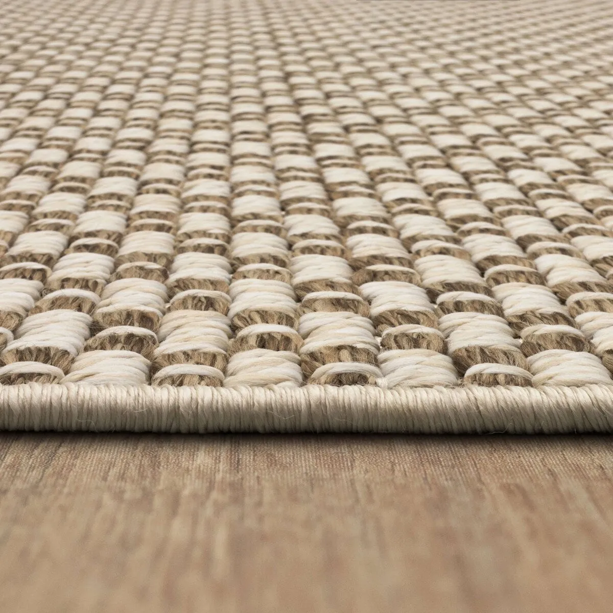 Salt Life Lanai Indoor Outdoor Woven Area Rug by Karastan