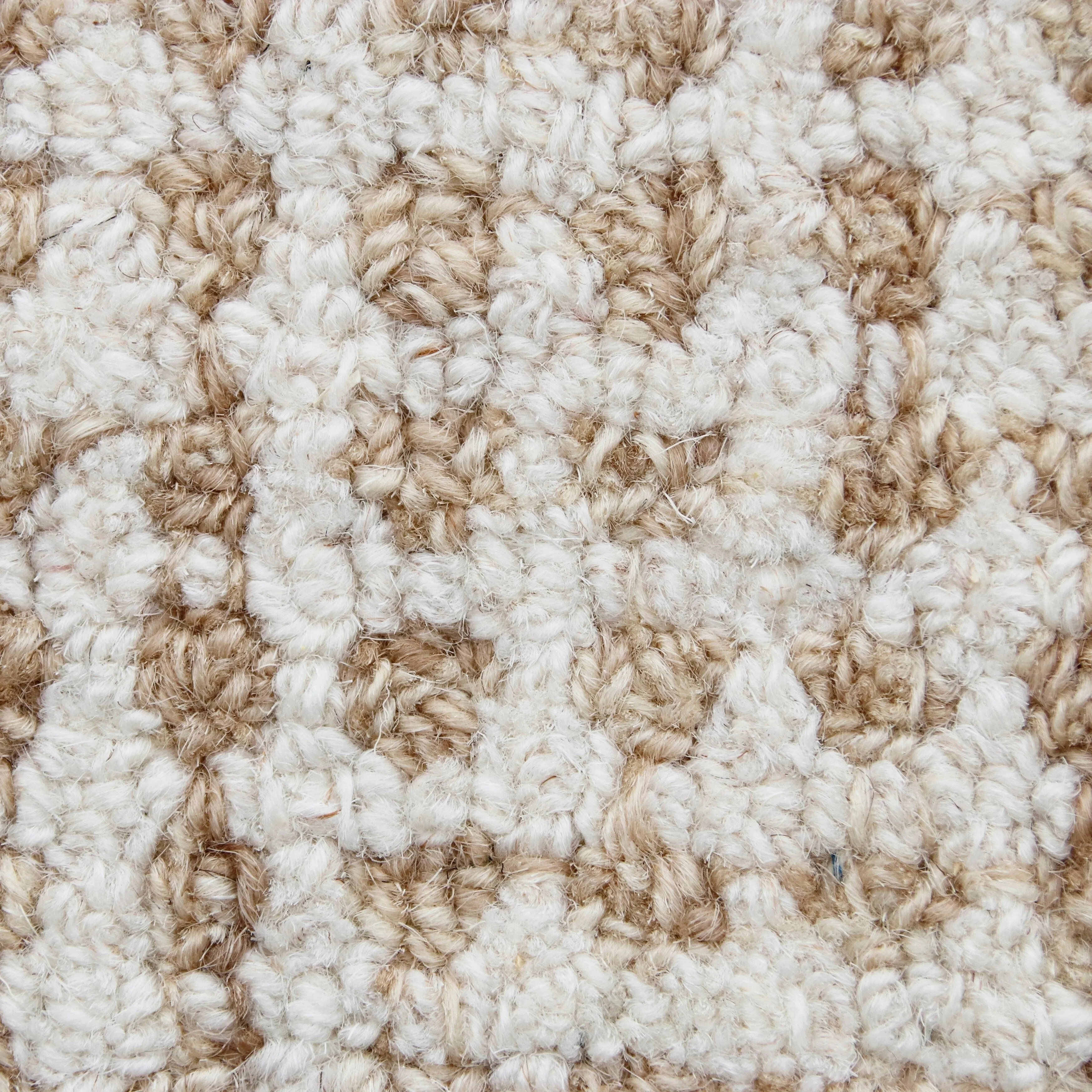 Sevita Hand-Tufted Checkered Geometric Wool Blend Indoor Area Rug