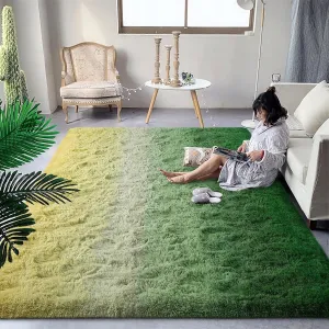 Shaggy Home Decor Carpet Luxury Gradient Rug for Living Room Bedroom