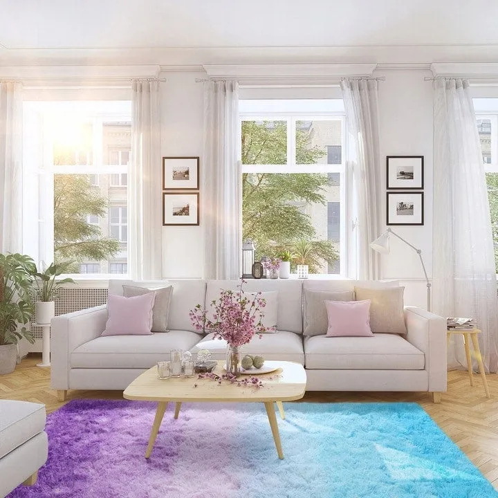 Shaggy Home Decor Carpet Luxury Gradient Rug for Living Room Bedroom