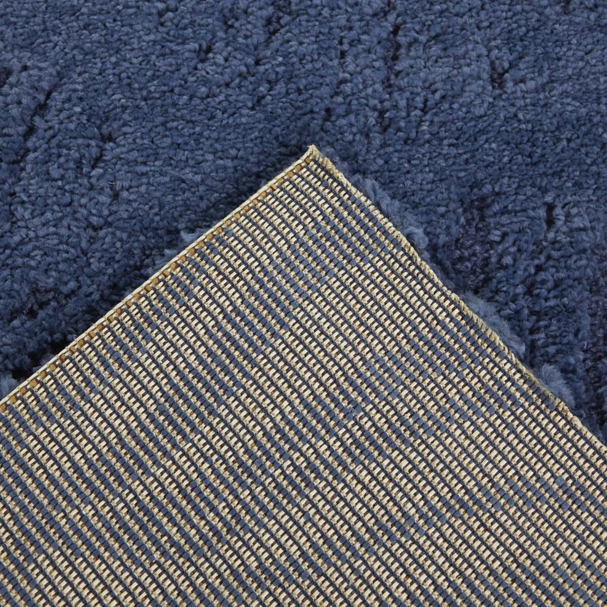 Shelley Coastal Nautilus Area Rug - 5'3 x 7'
