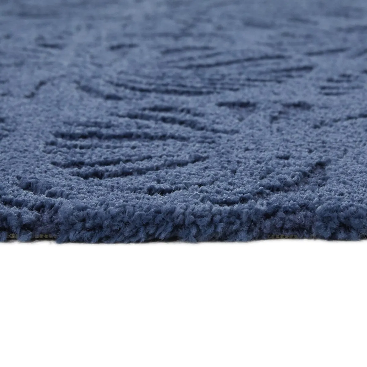 Shelley Coastal Nautilus Area Rug - 5'3 x 7'