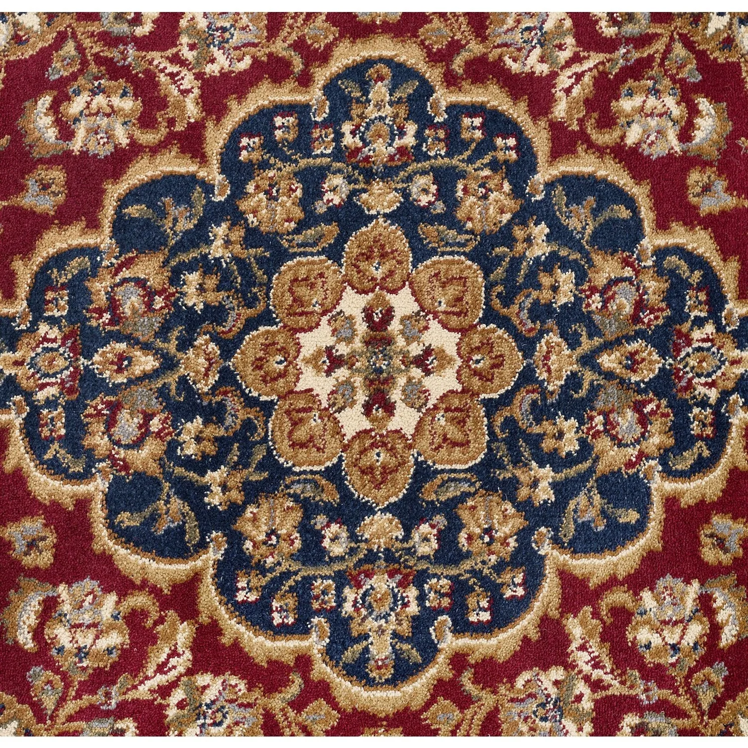 Soho Traditional Floral Indoor Area Rug
