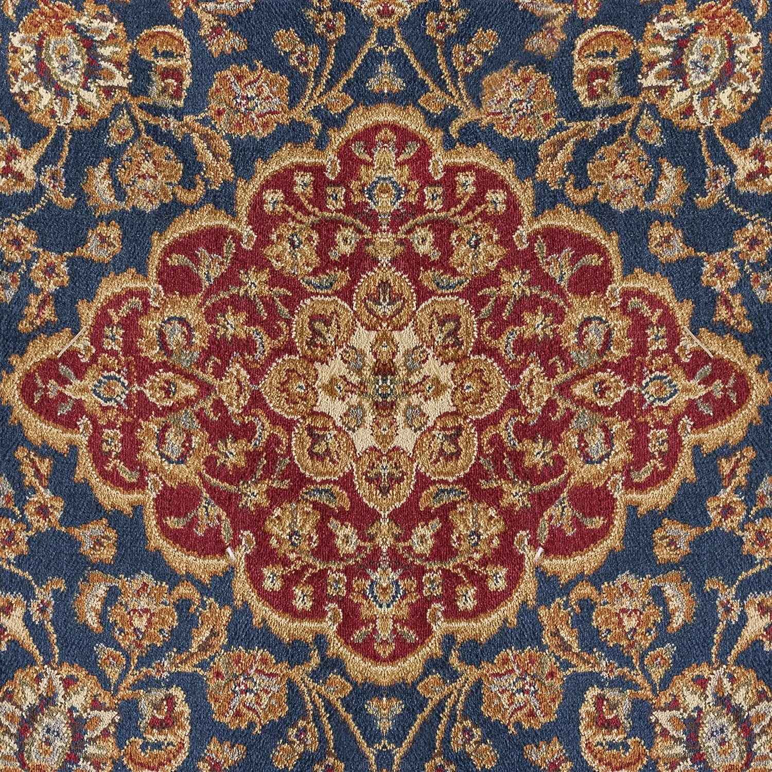 Soho Traditional Floral Indoor Area Rug