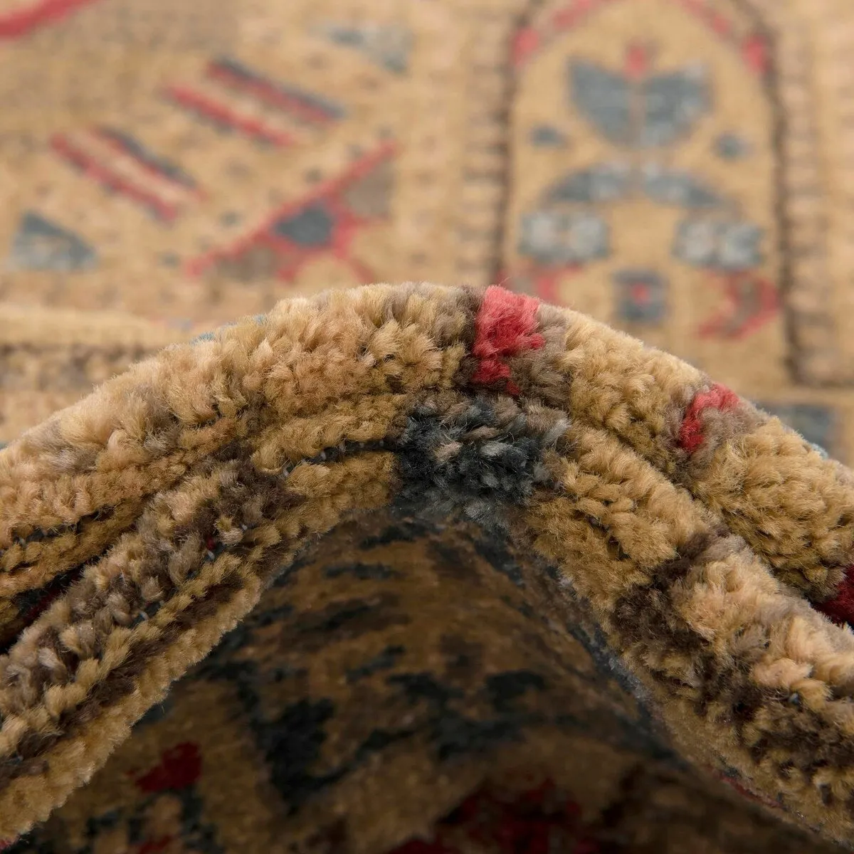 Traditional Cassia Collection Area Rug