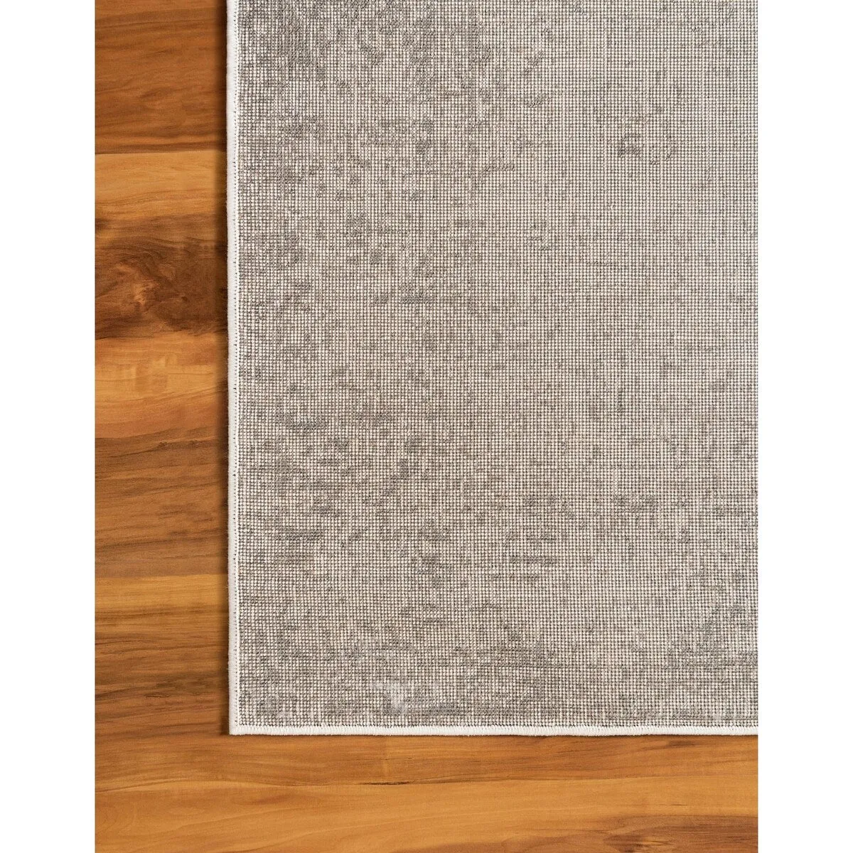 Transitional Fredo Collection Area Rug