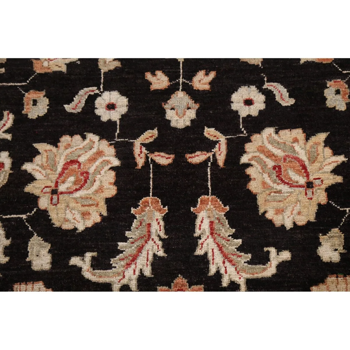 Vegetable Dye Floral Chobi Peshawar Area Rug Hand-knotted Wool Carpet - 6'0 x 9'0